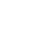 Cybersecurity icon